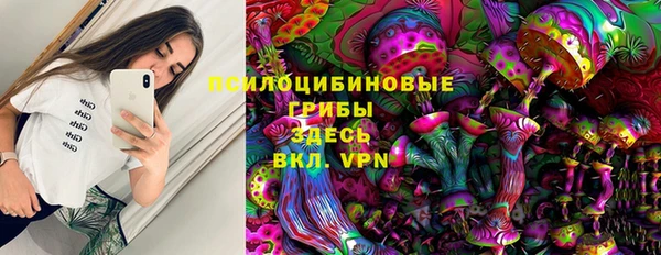 MDMA Premium VHQ Богородицк